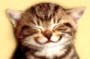Eccy_Man's Avatar